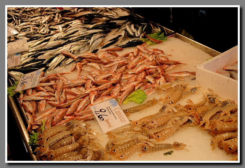 Fish market3